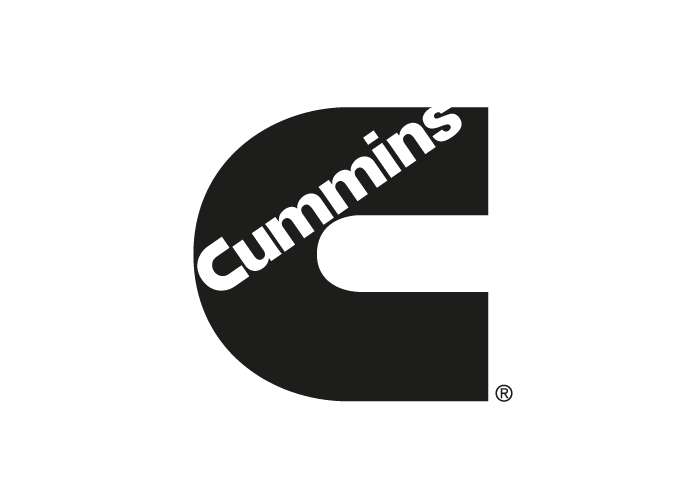 Cummins Turkey Motor
